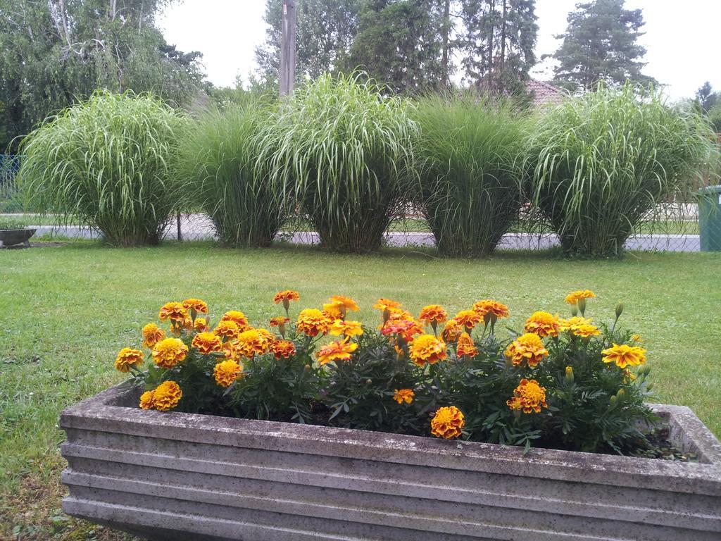 Hajas Familia Kiado Szobak Balatonmariafurdo Ngoại thất bức ảnh