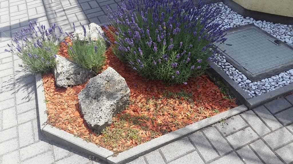 Hajas Familia Kiado Szobak Balatonmariafurdo Ngoại thất bức ảnh